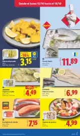 Catálogo Lidl | Canarias Página 9