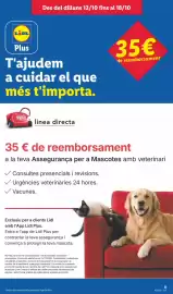 Catálogo Lidl semana 42 Página 15