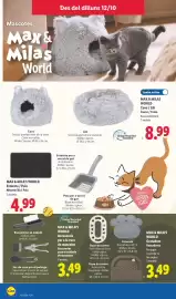 Catálogo Lidl semana 42 Página 8