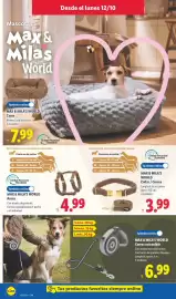 Catálogo Lidl | Bazar canarias Página 10