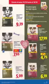 Catálogo Lidl | Bazar canarias Página 13