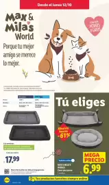 Catálogo Lidl | Bazar canarias Página 6