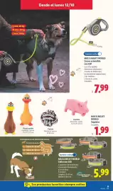 Catálogo Lidl | Bazar canarias Página 9