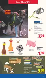 Catálogo Lidl semana 42 Página 9