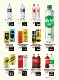 Encarte Festval Página 17