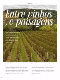 Catálogo Lojas Pompéia Página 43