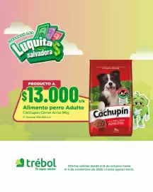 Catálogo Supermercado El Trébol Página 10