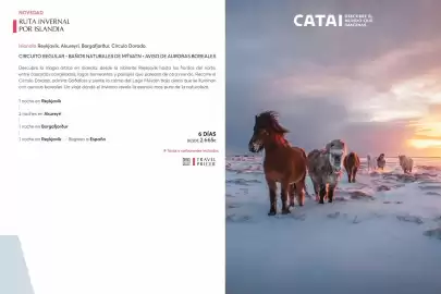 Catálogo Catai Página 84