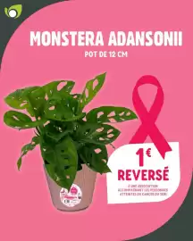 Catalogue Point Vert page 2: Plante Verte €1,00