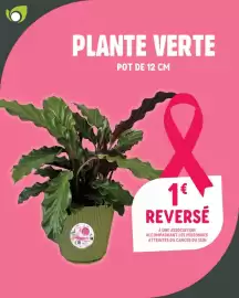 Catalogue Point Vert page 3: Plante Verte €1,00