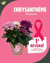 Catalogue Point Vert page 4: Chrysanthème €1,00