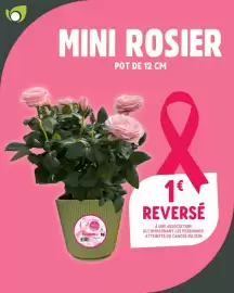Catalogue Point Vert page 5: Rosier Mini €1,00