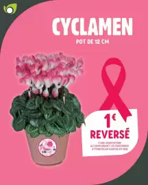 Catalogue Point Vert page 6: CYCLAMEN €1,00