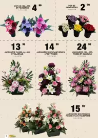 Catalogue Marché aux Affaires page 6: JARDINIÈRE OEILLETS, ROSES ET GLAIEULS €24,99