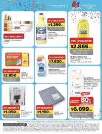 Catálogo Carrefour semana 41 Página 13: Bulnez bolsa para residuos normal €1.090,00, Bulnez trapo de piso gris €1.190,00