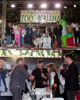Zoomiguana (valido fino al 20-10)