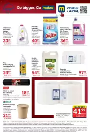 Makro gazetka Strona 10: Uniwersalny płyn czyszczący Mr. Proper Professional €36,99