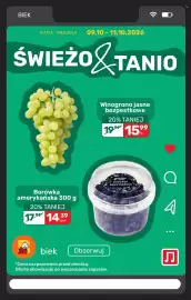 Biedronka gazetka Strona 17