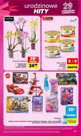 Carrefour gazetka tydzień 42 Strona 9: Storczyk 3-pędowy €24,99