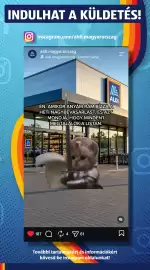 ALDI akciós újság hét 42 Oldal 34