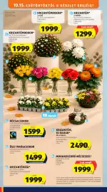 ALDI akciós újság hét 42 Oldal 12: Krizantémbokor €1.999,00
