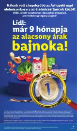 Lidl akciós újság hét 42 Oldal 11