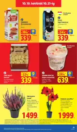 Lidl akciós újság hét 42 Oldal 61: Chef Select Gnocchi €339,00, Hazánk kincsei vegyes savanyúság €639,00