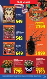 Lidl akciós újság hét 42 Oldal 65: Halloween savanyú gumicukor €549,00, Virágzó növények halloweeni kerámiában €11.999,00