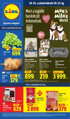Lidl (érvényes eddig: 21-10)