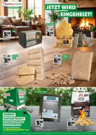 Hagebau Prospekt woche 41 Seite 10: REKORD Kaminbriketts €5,49, RENVOVO Gewebeplane €5,99