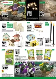 Hagebau Prospekt woche 41 Seite 12: Futterhaus €9,99, Nisthaus €9,99