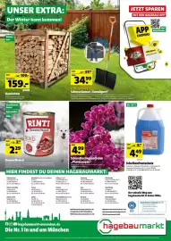 Hagebau Prospekt woche 41 Seite 14: Buchenholz Kaminholz €159,00, Scheibenfrostschutz €4,49