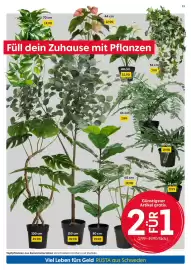 Rusta Prospekt woche 41 Seite 13