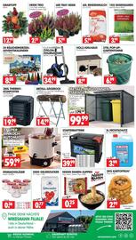 Wreesmann Prospekt woche 42 Seite 12: Nissin Ramen-Suppen €0,25, Rinden Mulch €5,99