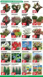 Wreesmann Prospekt woche 42 Seite 3: ISLANDMOOS-HERZ €14,99, GRABGESTECK €15,99