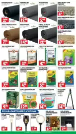 Wreesmann Prospekt woche 42 Seite 4: Allflor Pferdedung €9,99, Natur Torf €4,99