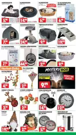 Wreesmann Prospekt woche 42 Seite 7: FUNK-WANDUHR Melus €14,99, TIERTRANSPORTBOX €9,99