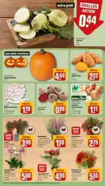 REWE Prospekt woche 42 Seite 5: Rote Bete €0,99, Weiße Buchenpilze €1,19