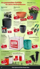 Sonderpreis Baumarkt Prospekt woche 42 Seite 10: Pflanzschale "Misa" €1,99, Pflanztopf "Classic" €12,99