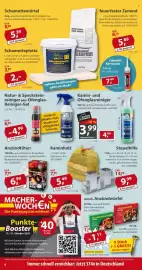 Sonderpreis Baumarkt Prospekt woche 42 Seite 6: Flash Anzündtüten €6,99, Kamin- und Ofenglasreiniger €3,99