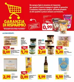 Volantino DPiù Pagina 13
