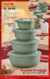 Catálogo Azzorti Página 209