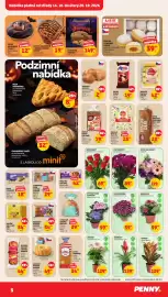 Penny Market leták týden 42 Strana 3: Kobliha s ovocnou náplní €39,90, Africká fialka St. Paulia €59,00