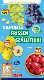 ALDI akciós újság hét 41 Oldal 22