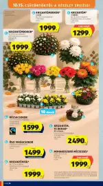 ALDI akciós újság hét 41 Oldal 36