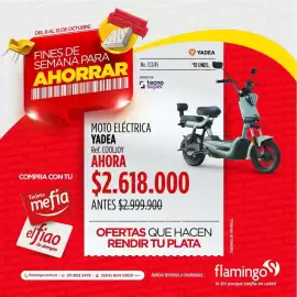 Catálogo Flamingo Página 2