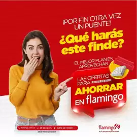 Catálogo Flamingo Página 5