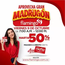 Catálogo Flamingo Página 7