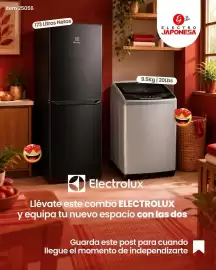 Catálogo Electrojaponesa Página 2