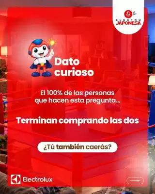Electrojaponesa (válido hasta 25-10)
